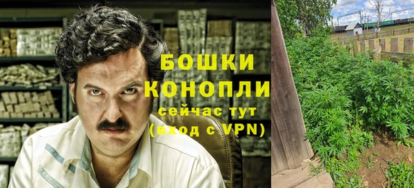 ПСИЛОЦИБИНОВЫЕ ГРИБЫ Бронницы