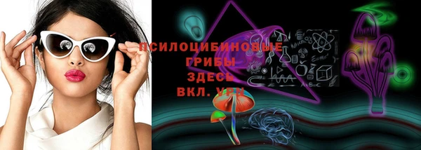прущие крисы Бугульма