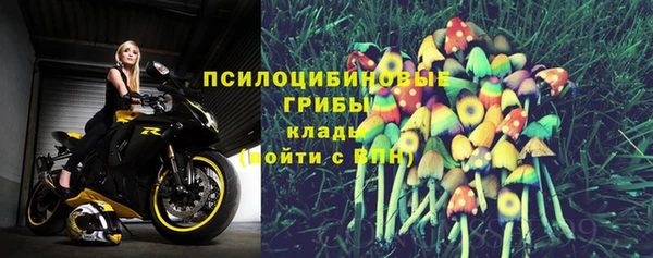прущие крисы Бугульма