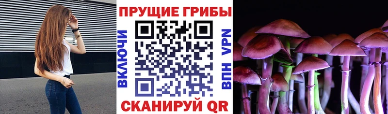 Галлюциногенные грибы MAGIC MUSHROOMS  Заволжье 